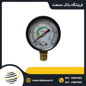 گیج فشار ناتالی ( NATALY ) چین خشک عمودی صفحه 5 سانتی متر 10 بار