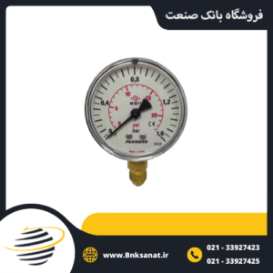 گیج فشار پکنز ( PAKKENS ) ترکیه خشک عمودی صفحه 6 سانتی متر