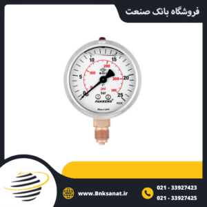 گیج فشار پکنز ( PAKKENS ) ترکیه روغنی عمودی صفحه 6 سانتی متر