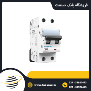 کلید مینیاتوری دو پل 2 آمپر هیوندای ( HYUNDAI ) کره مدل HGD 63N 2P-2A