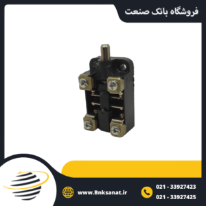 مغزی پدالی ایرانی